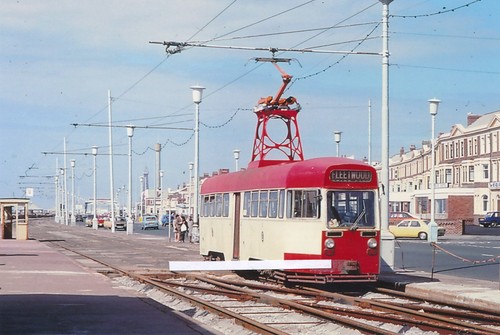 124p tram photo - tram,
