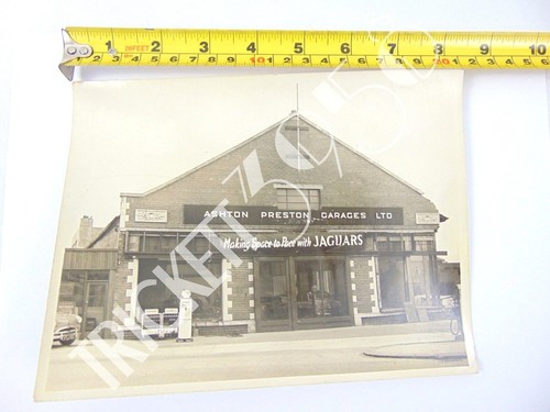 Original photo jaguar - jaguar, house