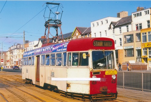 130p 6x4 tram photo - ,